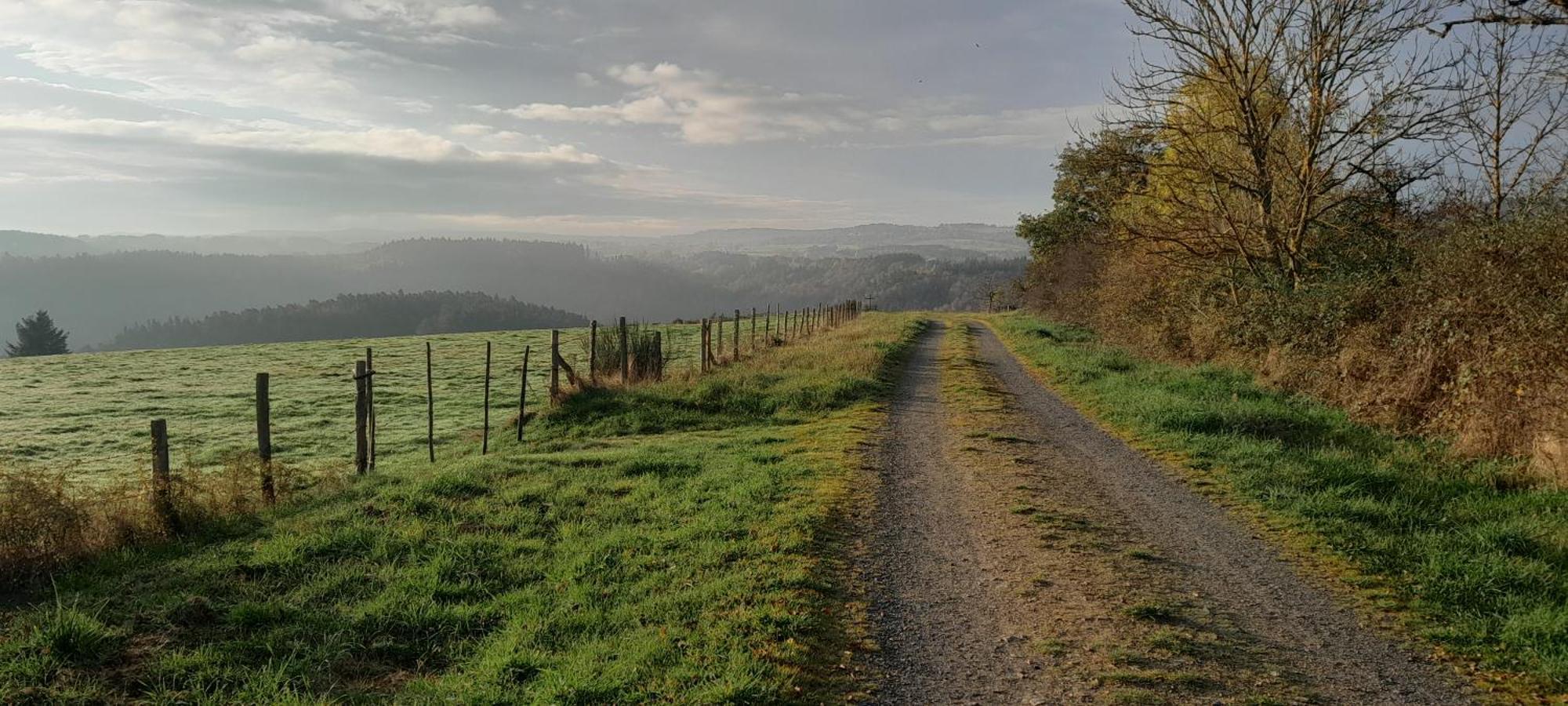 Le Relais D'Anglards Lägenhet Exteriör bild